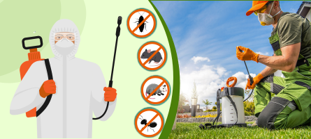 Emergency Pest Control Kew